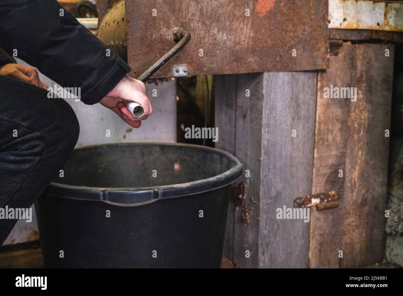 Un uomo trasforma un dispositivo fatto in casa per estrarre le noci di cedro dai coni di pino siberiano. Foto Stock