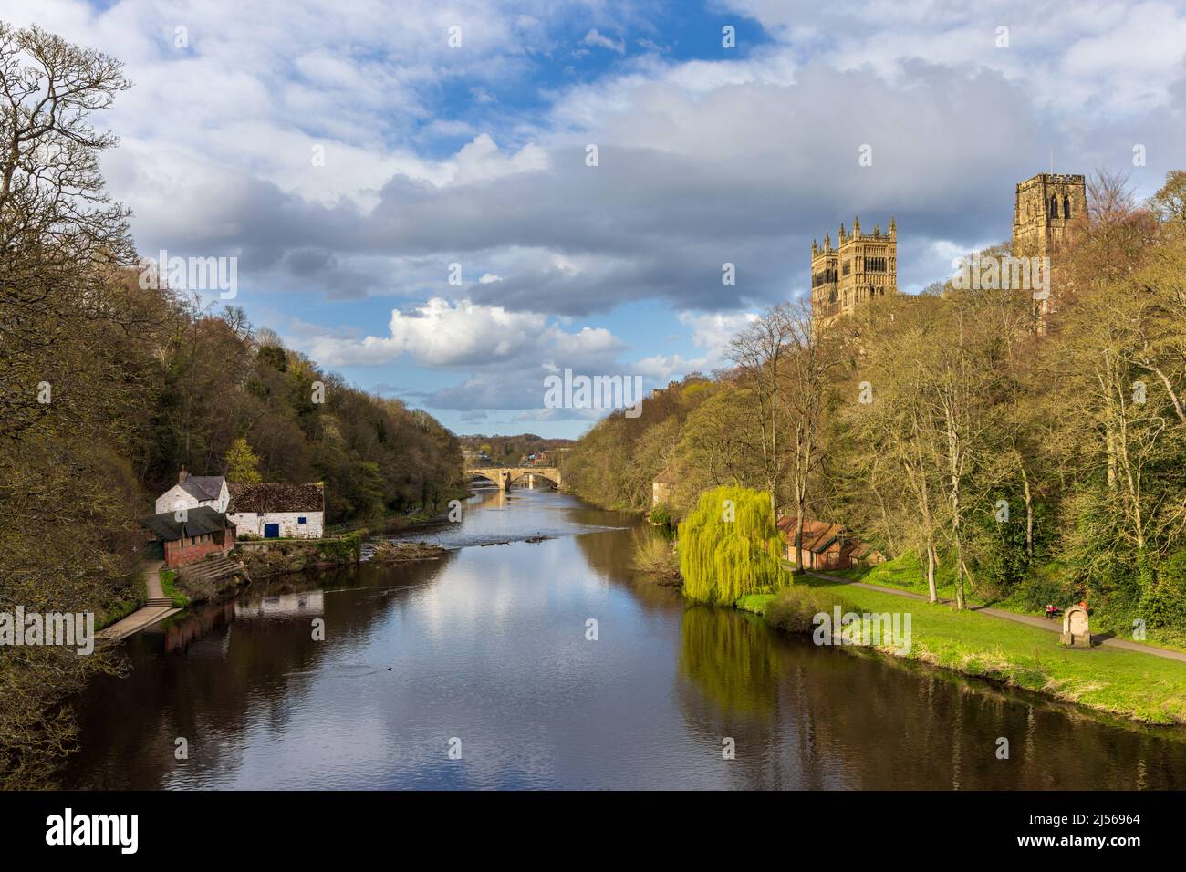 Una vista lungo il fiume indossare con la magnifica Cattedrale di Durham sulla destra nella città di Durham. In una brillante giornata di primavera. Foto Stock