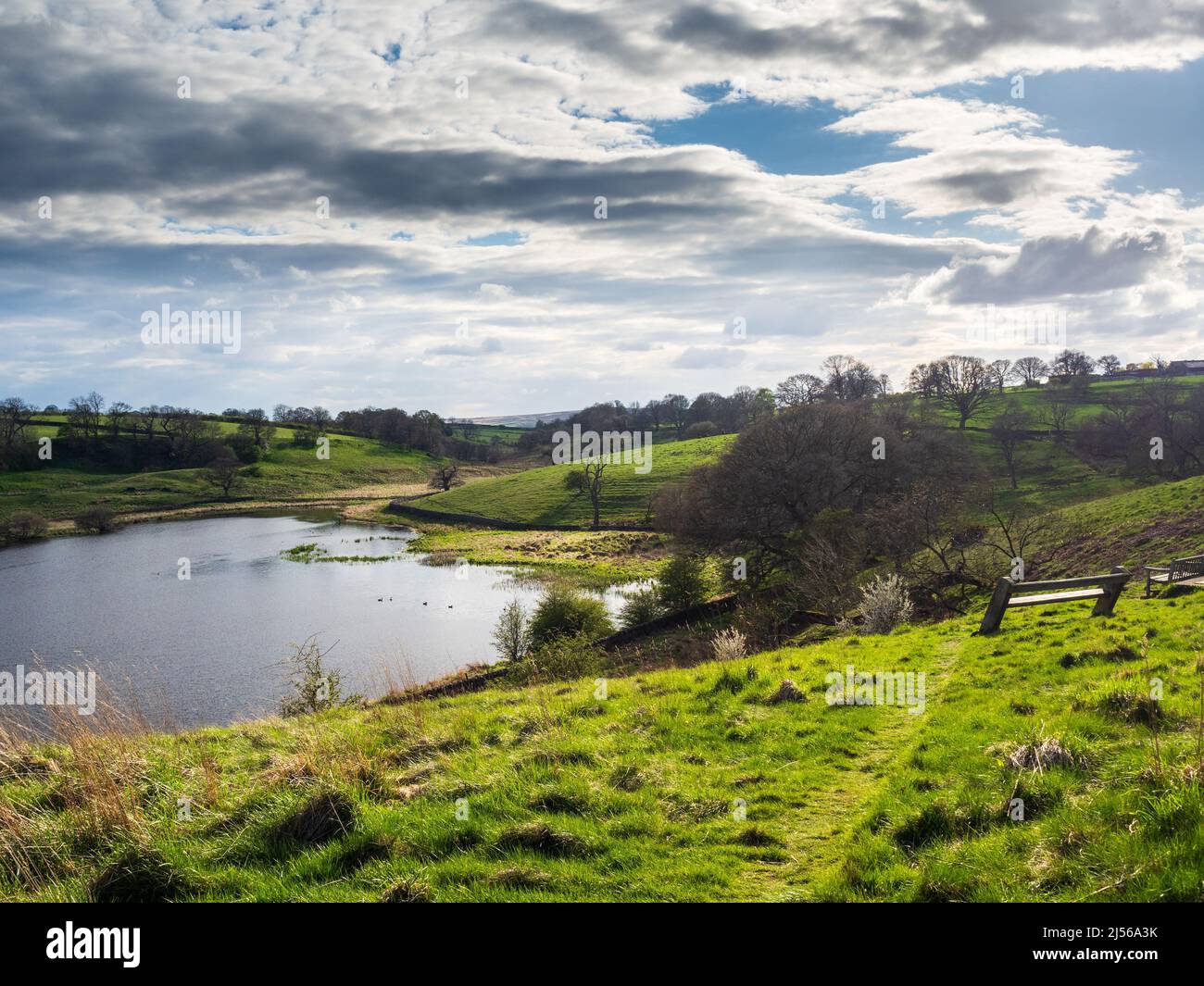 John o' Gaunt Reservoir a Nidderdale, nello Yorkshire. Un bel pomeriggio di primavera e le vedute sono incantevoli con pareti di pietra asciutta e uccelli selvatici. Foto Stock