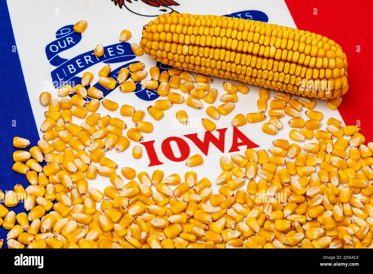Bandiera dell'Iowa coperta in noccioli di mais. Agricoltura, agricoltura e ethanol concetto Foto Stock