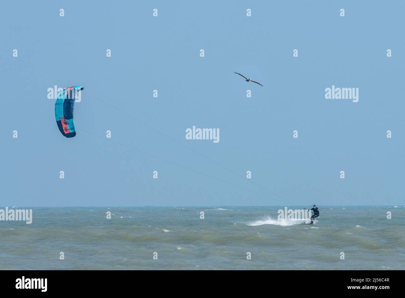 Un kite surfer che kiting in venti forti nel Golfo del Messico a South Padre Island, Texas. Foto Stock