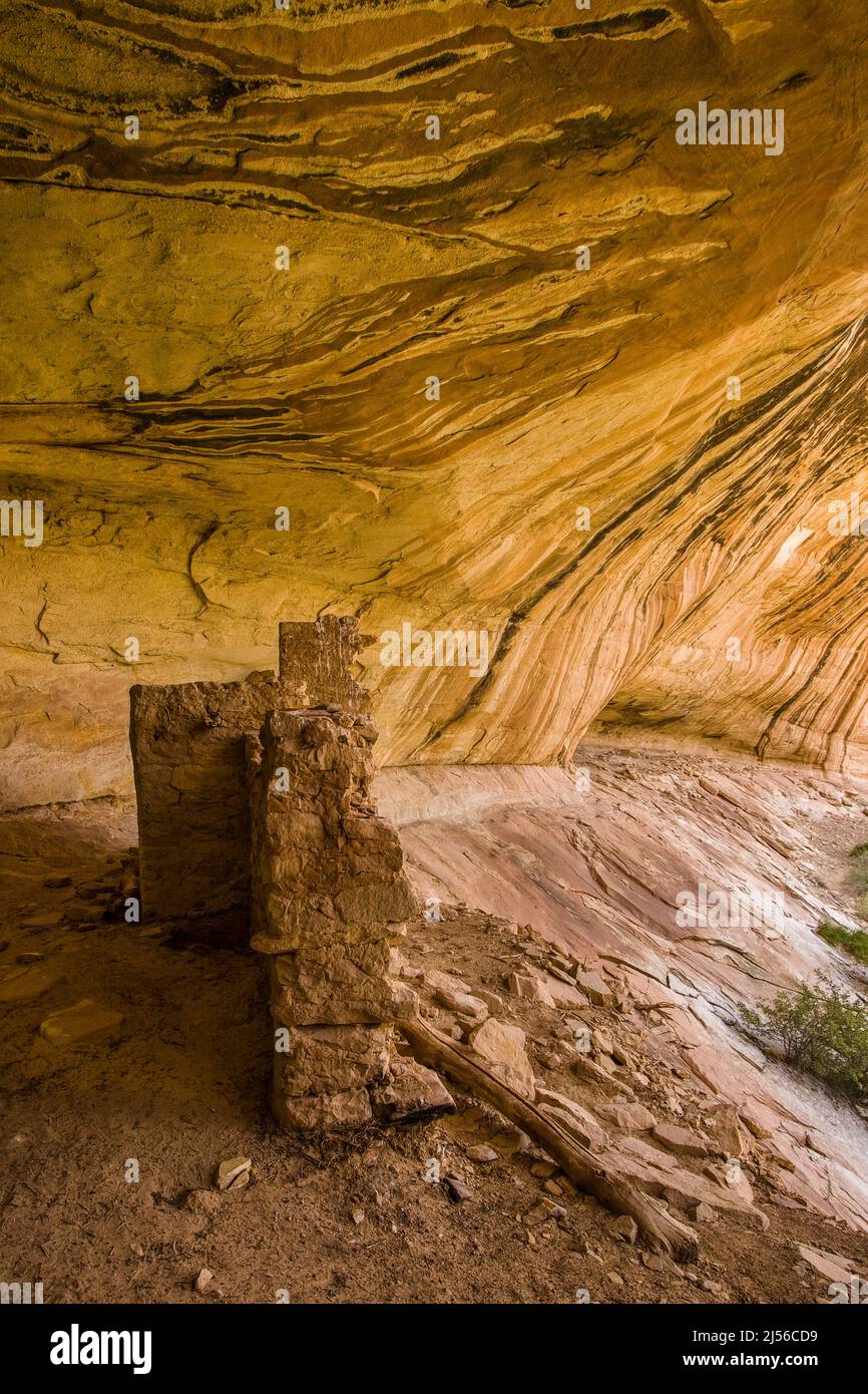 La Monarch Cave Ruin, un antico Puebloan indiano nativo americano di 1000 anni in una nicchia protettiva in un canyon nello shash JAA unità del Foto Stock