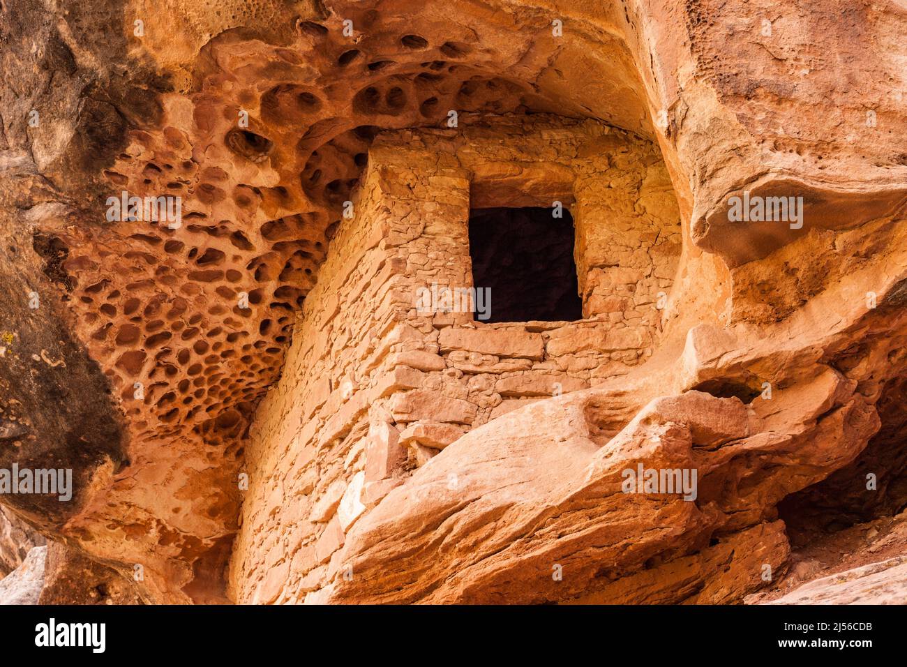 La rovina Honeycomb è una piccola scogliera di 800 anni di età ancestrale in Puebloan nel Montezuma Canyon, nel sud-est dello Utah. Il suo nome deriva da Foto Stock