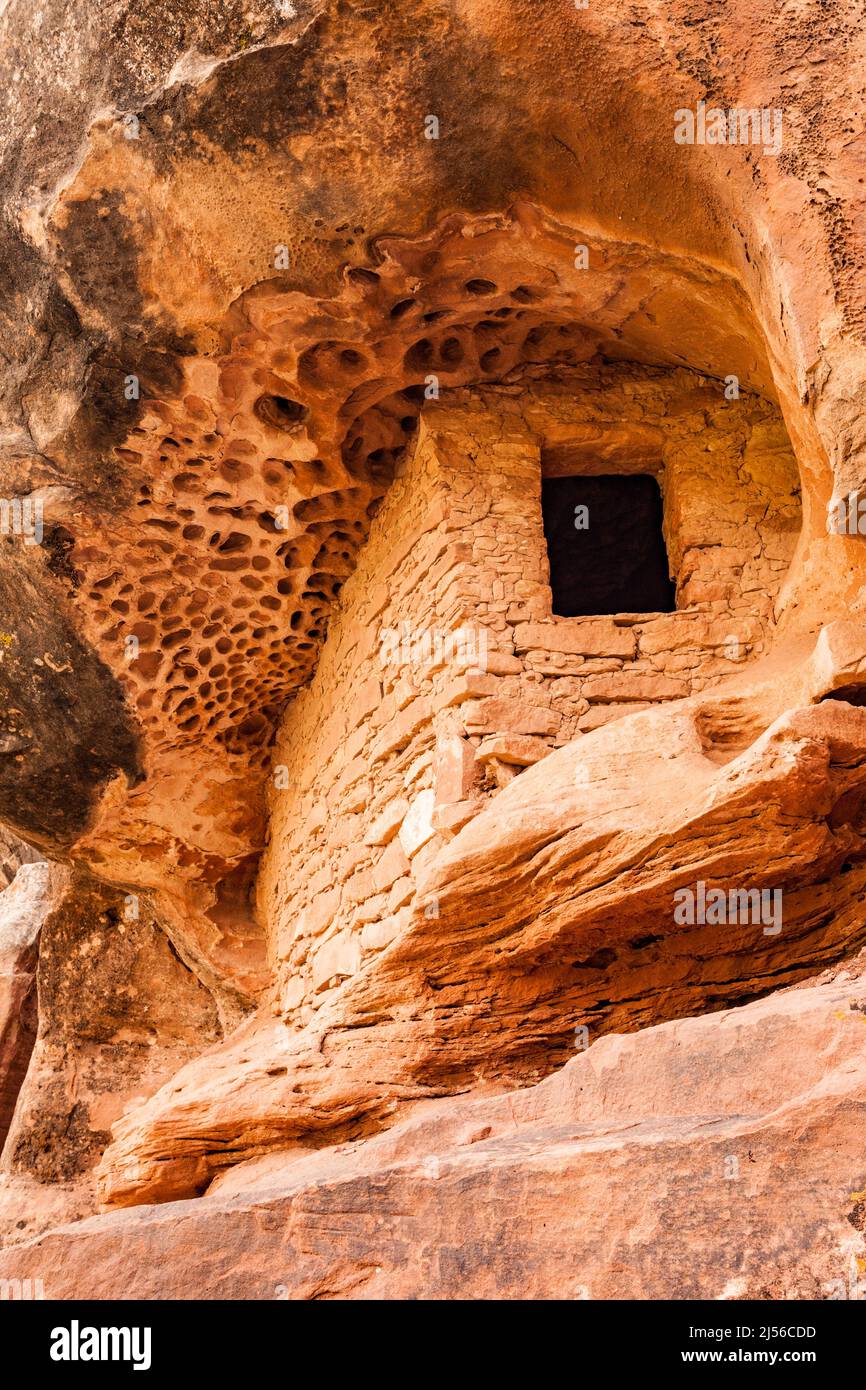 La rovina Honeycomb è una piccola scogliera di 800 anni di età ancestrale in Puebloan nel Montezuma Canyon, nel sud-est dello Utah. Il suo nome deriva da Foto Stock