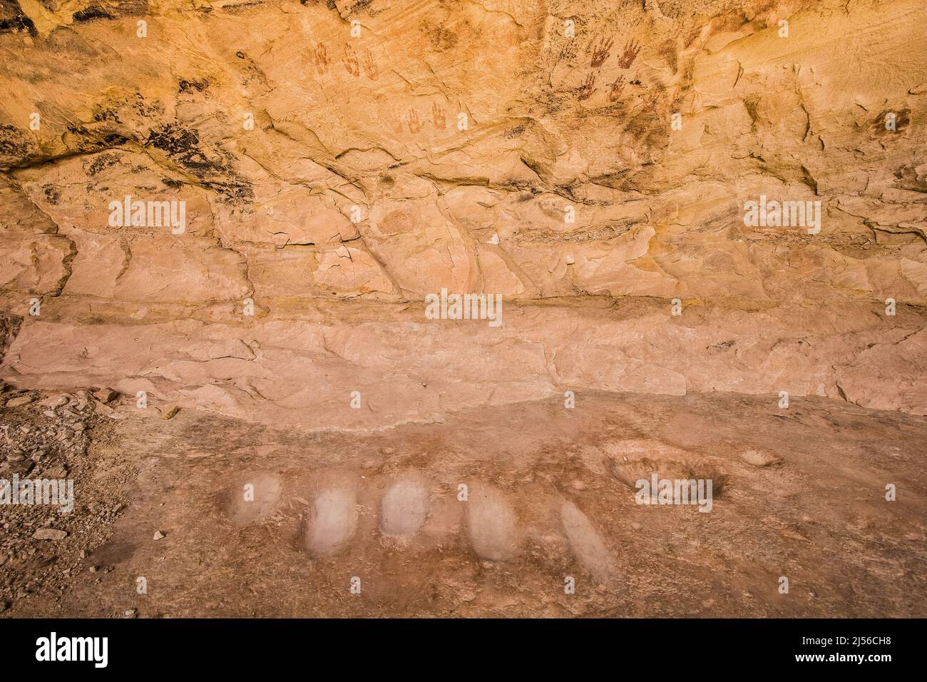 La Monarch Cave Ruin, un antico Puebloan indiano nativo americano di 1000 anni in una nicchia protettiva in un canyon nello shash JAA unità del Foto Stock