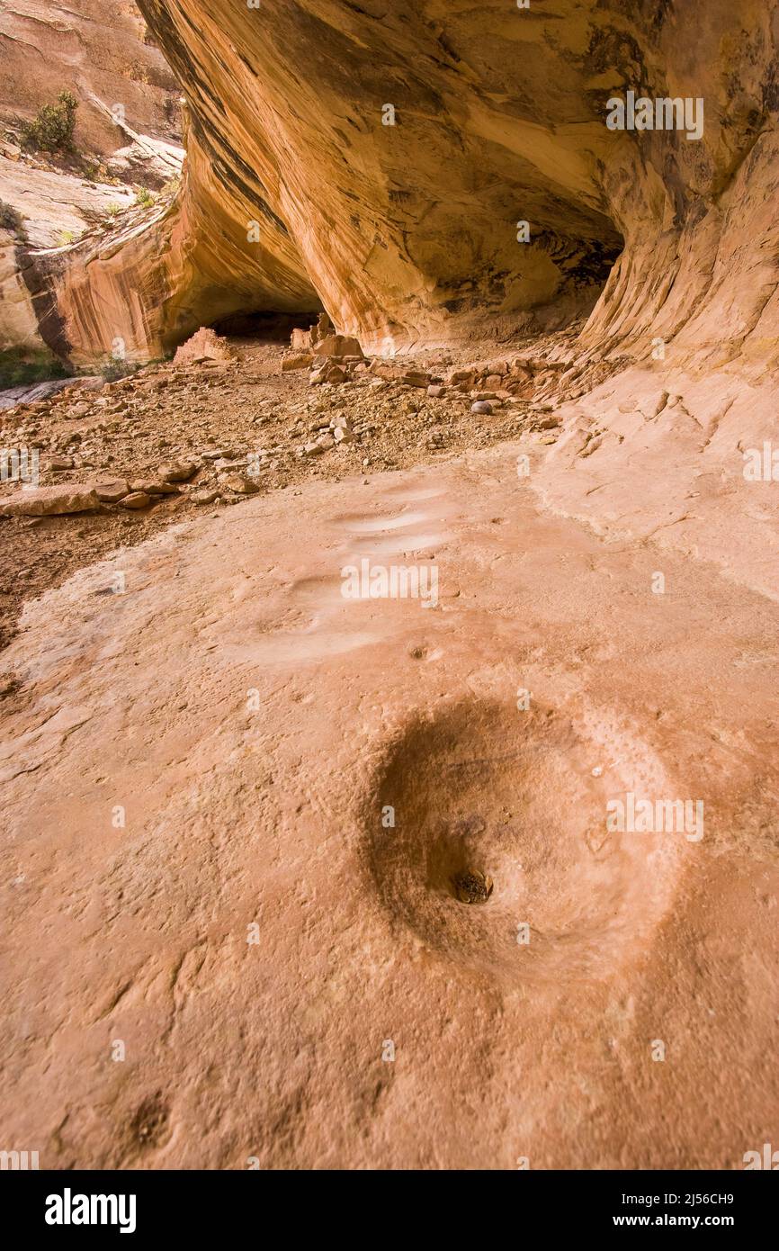 La Monarch Cave Ruin, un antico Puebloan indiano nativo americano di 1000 anni in una nicchia protettiva in un canyon nello shash JAA unità del Foto Stock