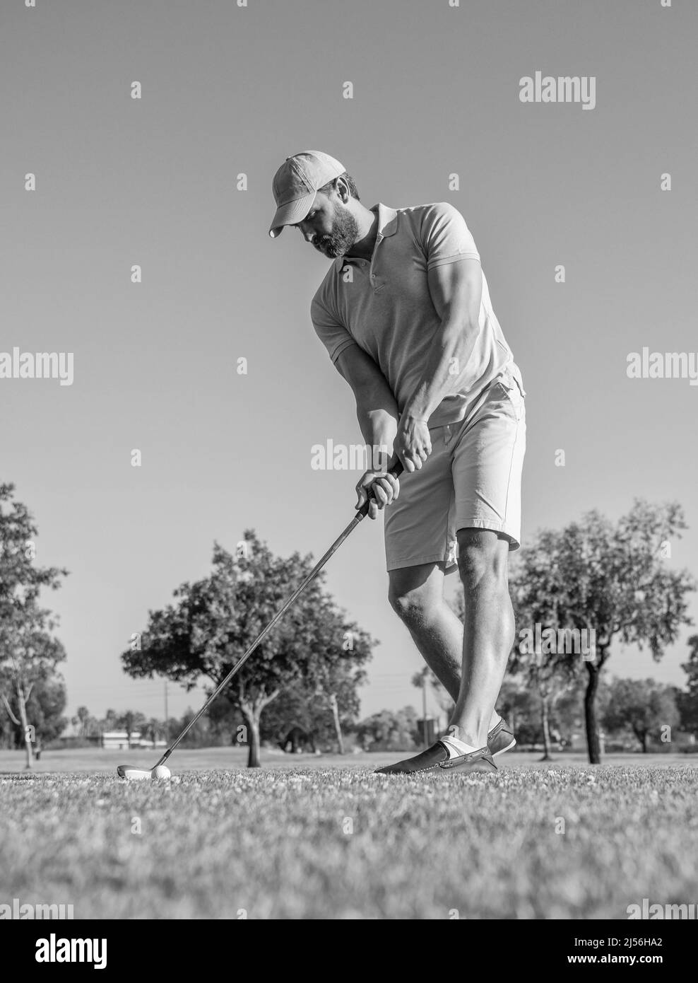 uomo in piedi giocando a golf su erba verde, golf Foto Stock