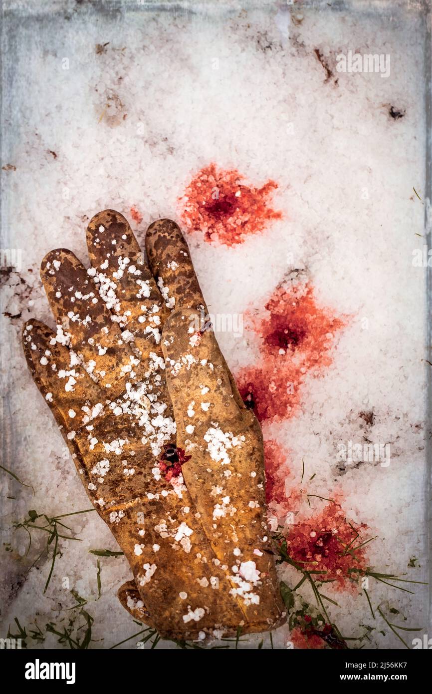 Guanto in pelle e macchie di sangue nella neve, un concetto di copertina libro Foto Stock