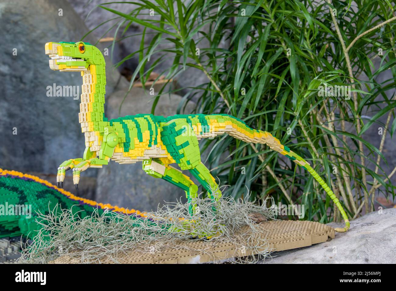 Singapore Apr 10th 2022: The LEGO Made dinosaur Compsognathus nello Zoo di Singapore. Un genere di dinosauro a teropodi carnivori, bipedali, piccoli, Foto Stock