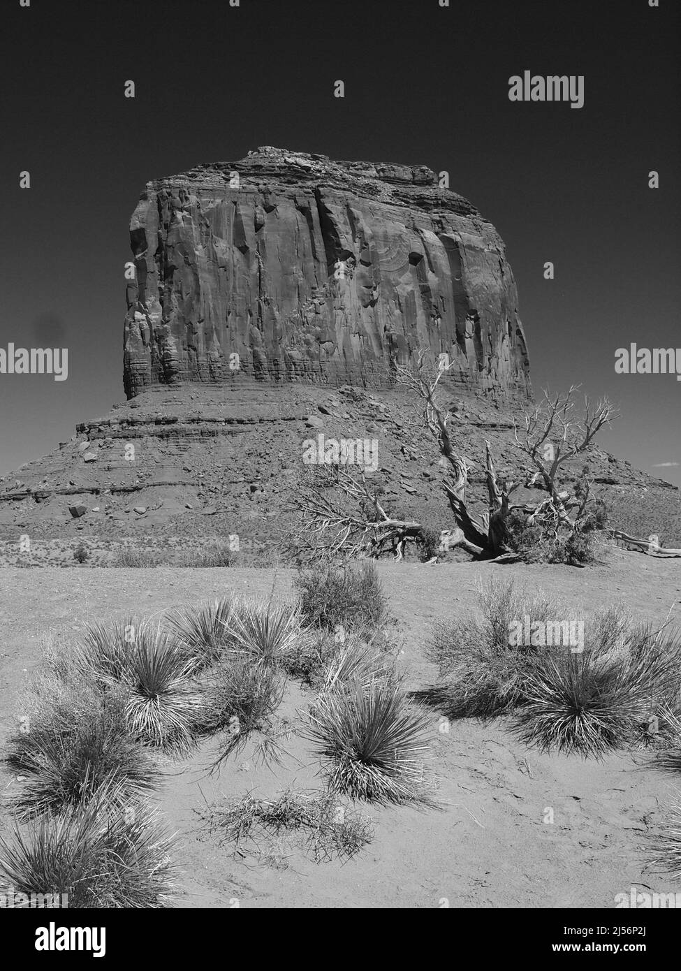 Monument Valley, Arizona, nella Navajo Indian Nation, vicino all'angolo nord-orientale del confine con lo Utah, Arizona. Oljato - Monumento Valle Foto Stock