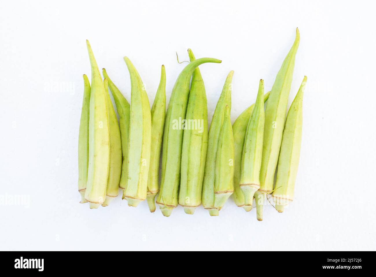 gruppo di okra fresco su sfondo bianco. Foto Stock