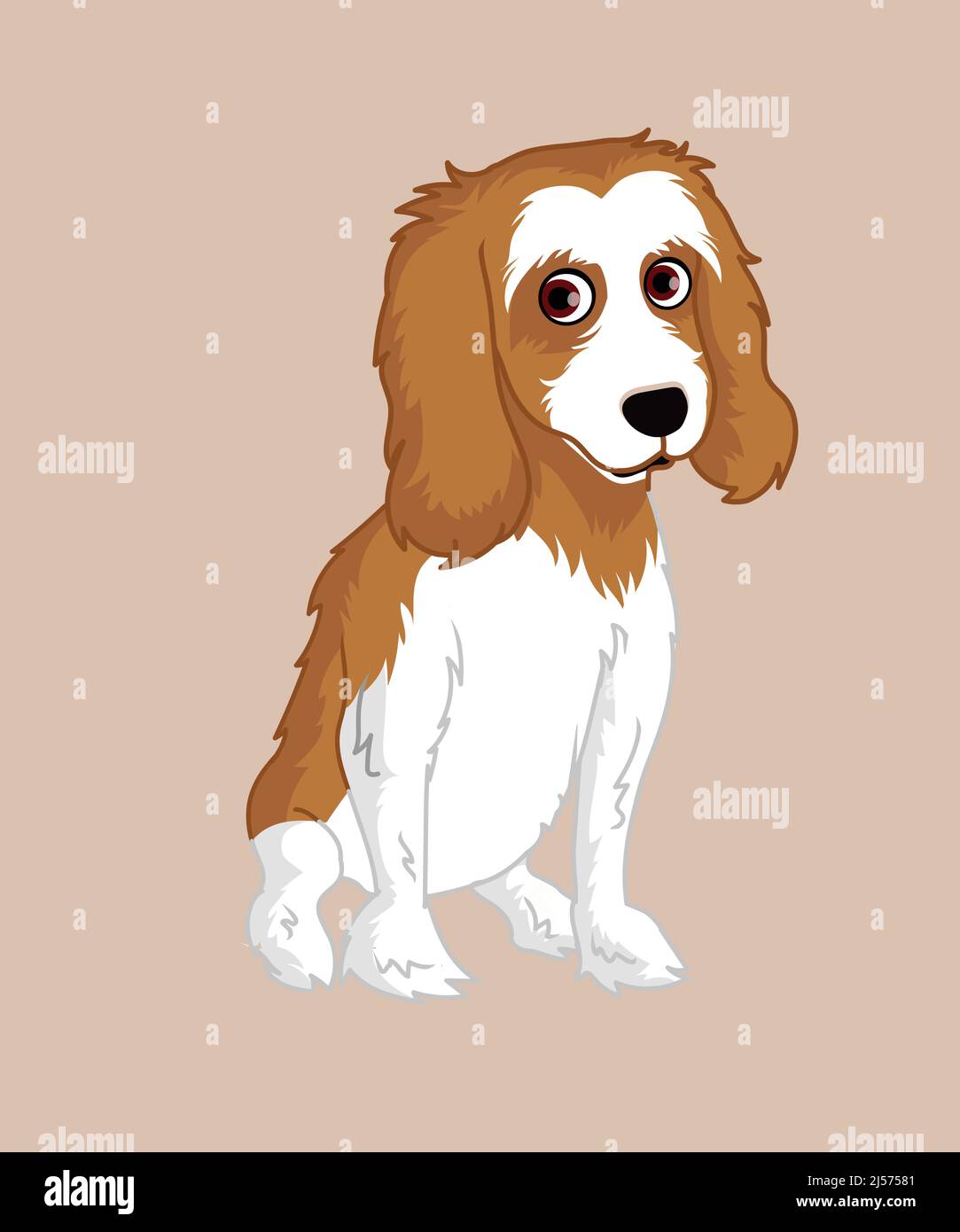 Cavalier King Charles Spaniel cane seduto illustrazione Illustrazione Vettoriale