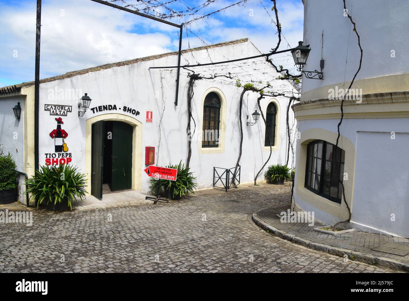 Jerez de la Frontera, Andalusia, Spagna Foto Stock