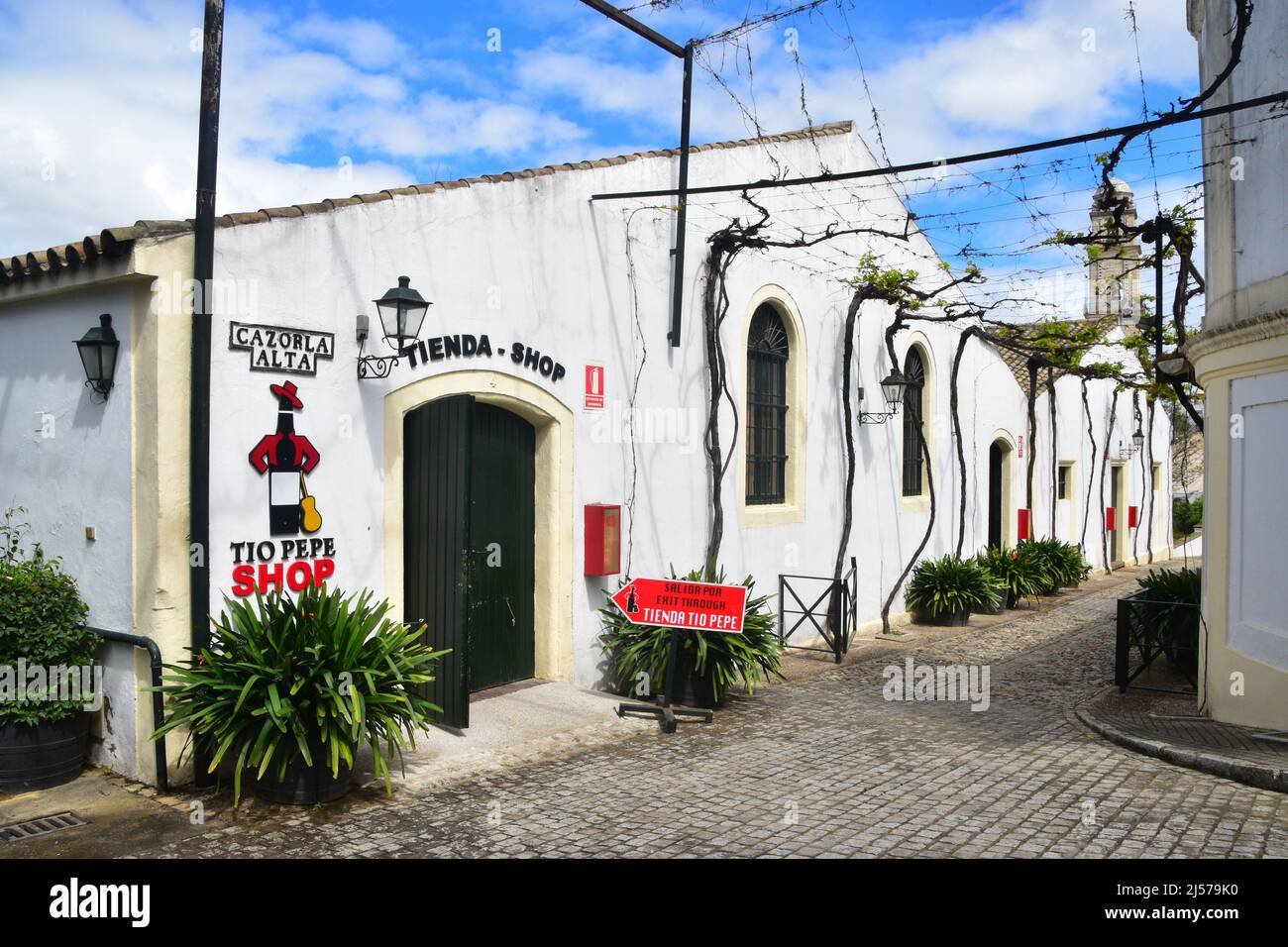 Jerez de la Frontera, Andalusia, Spagna Foto Stock