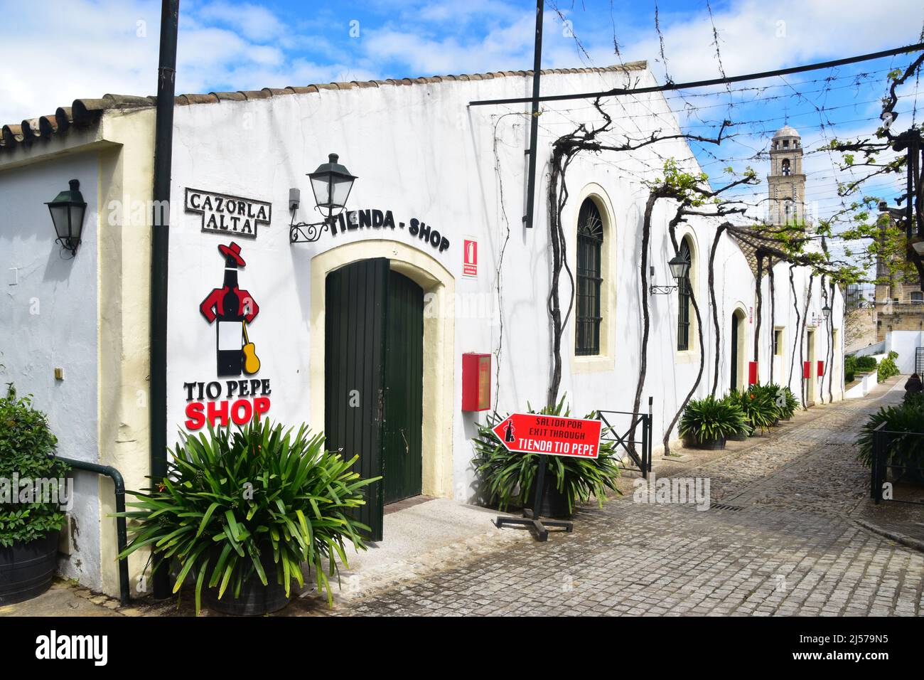 Jerez de la Frontera, Andalusia, Spagna Foto Stock