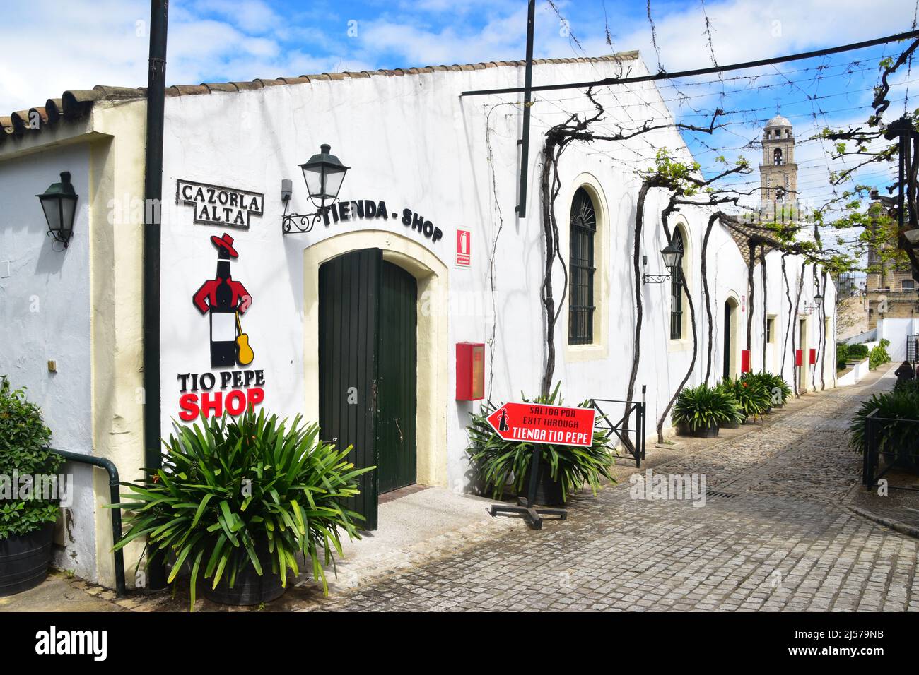 Jerez de la Frontera, Andalusia, Spagna Foto Stock