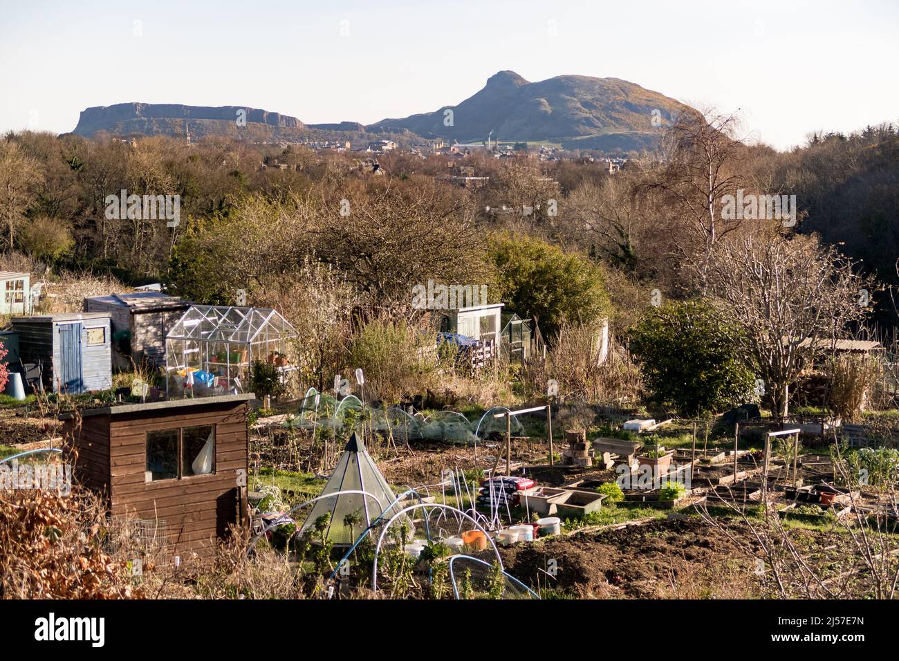 Una vista dei giardini di assegnazione nell'area MornInside di Edimburgo con Arthur's Seat sullo sfondo Foto Stock