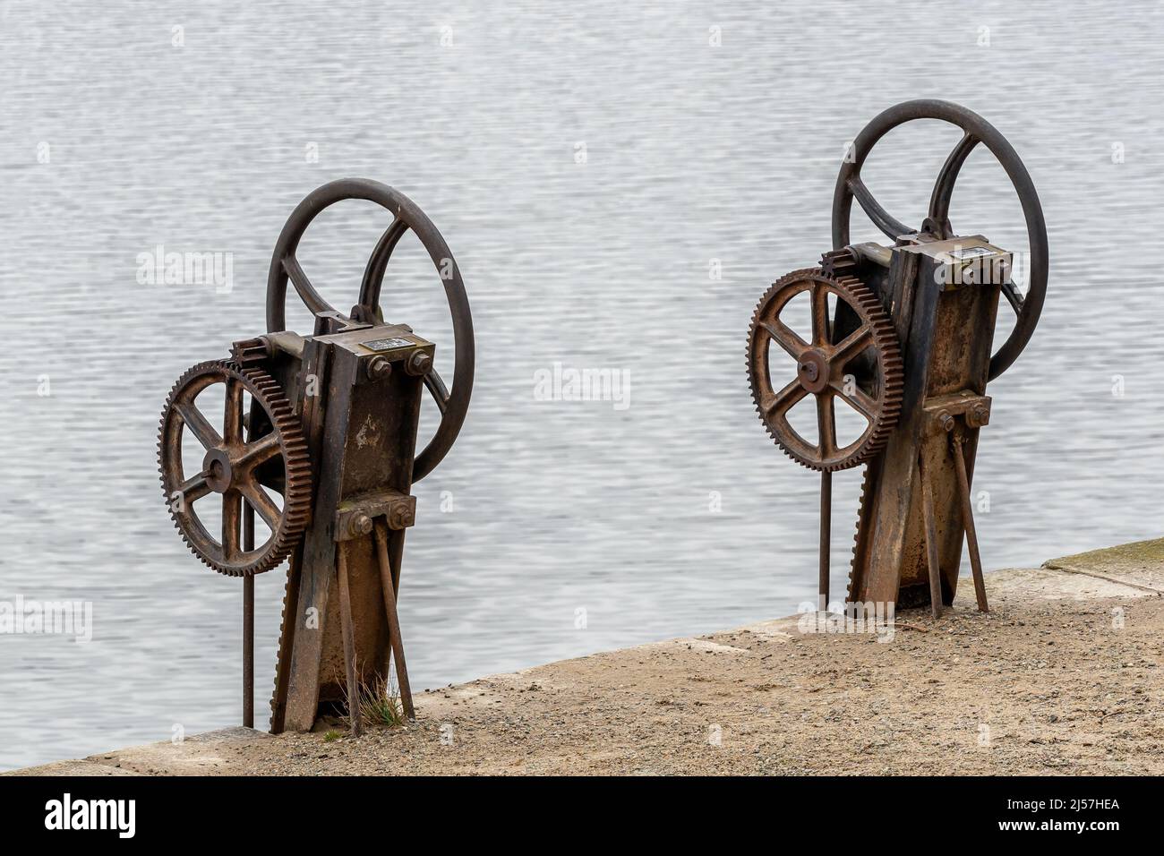 Allagamento sul laghetto, Trebon, Repubblica Ceca. Valvola woodgate. Foto Stock