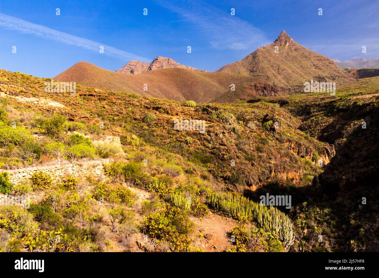 Escursioni attraverso il calore e la montagna Conde vicino Arona nel sud Tenerife Isole Canarie. Foto Stock