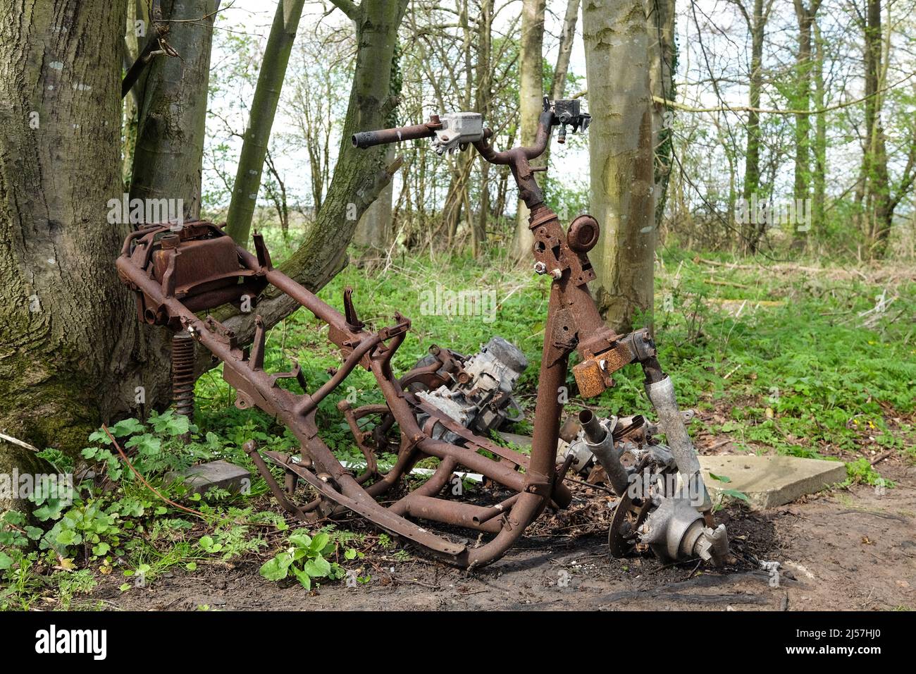 motocicletta bruciata scaricata nel bosco Foto Stock