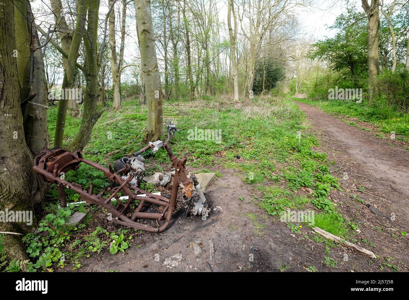 motocicletta bruciata scaricata nel bosco Foto Stock