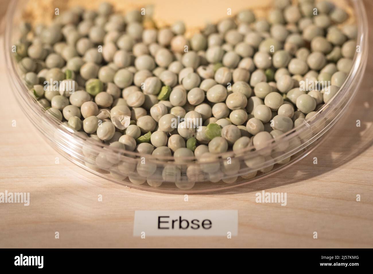 21 aprile 2022, bassa Sassonia, Osnabrück: I piselli si trovano in una ciotola della mostra 'Food. Cibo per il mondo di domani". La mostra fornisce approfondimenti sulla produzione alimentare e la ricerca nella regione di Osnabrück. La mostra sarà in mostra dal 24 aprile al 13 novembre 2022. Foto: Friso Gentsch/dpa Foto Stock