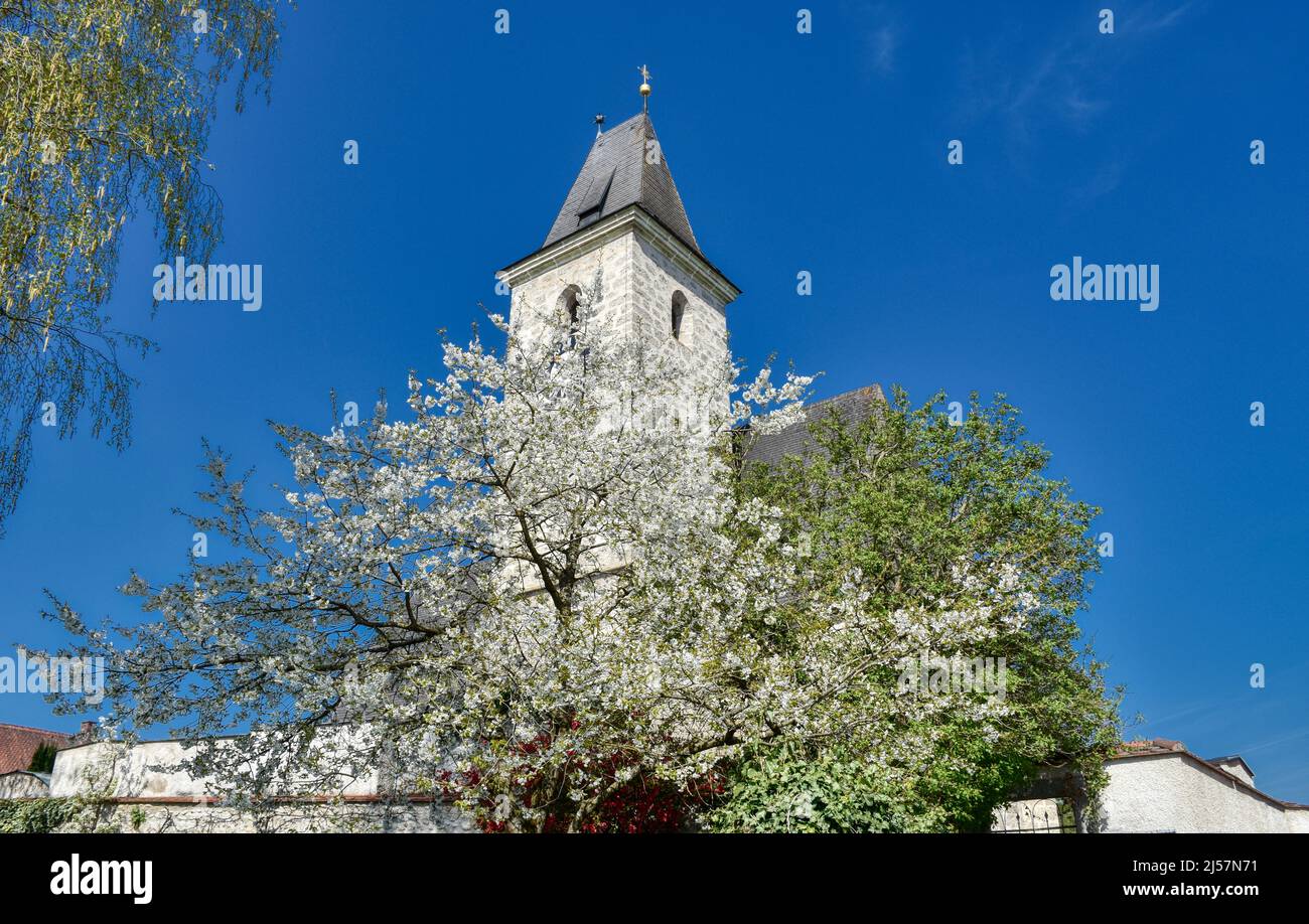 Kirche, Kronstorf, Pfarrkirche, Heiliger, Bartholomäus, Denkmalschutz, Gotisch, Gotik, Spätgotisch, Spätgotik, Einschiffig, Langhaus, Turm, Kirchturm, Foto Stock