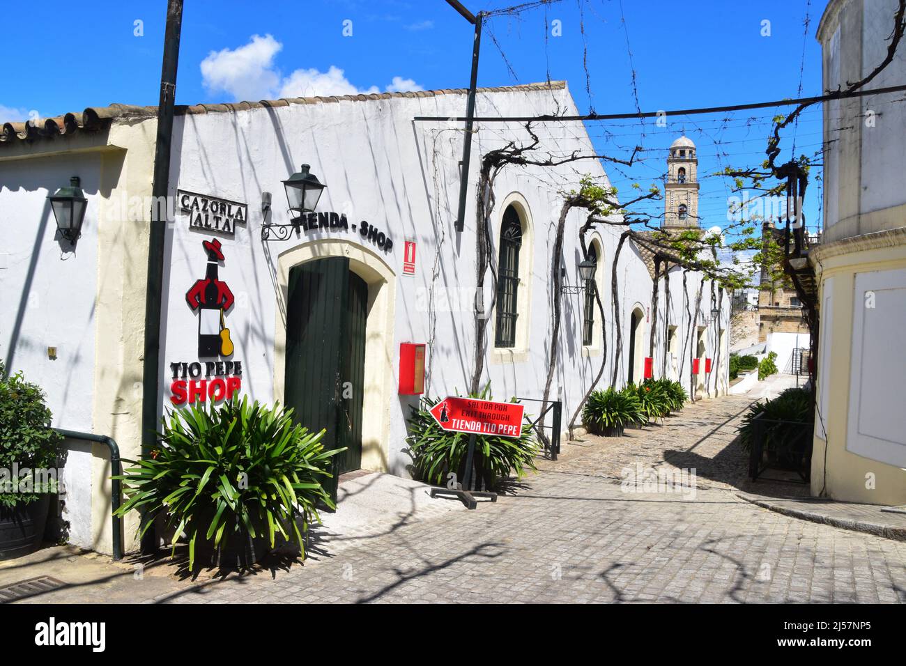 Jerez de la Frontera, Andalusia, Spagna Foto Stock