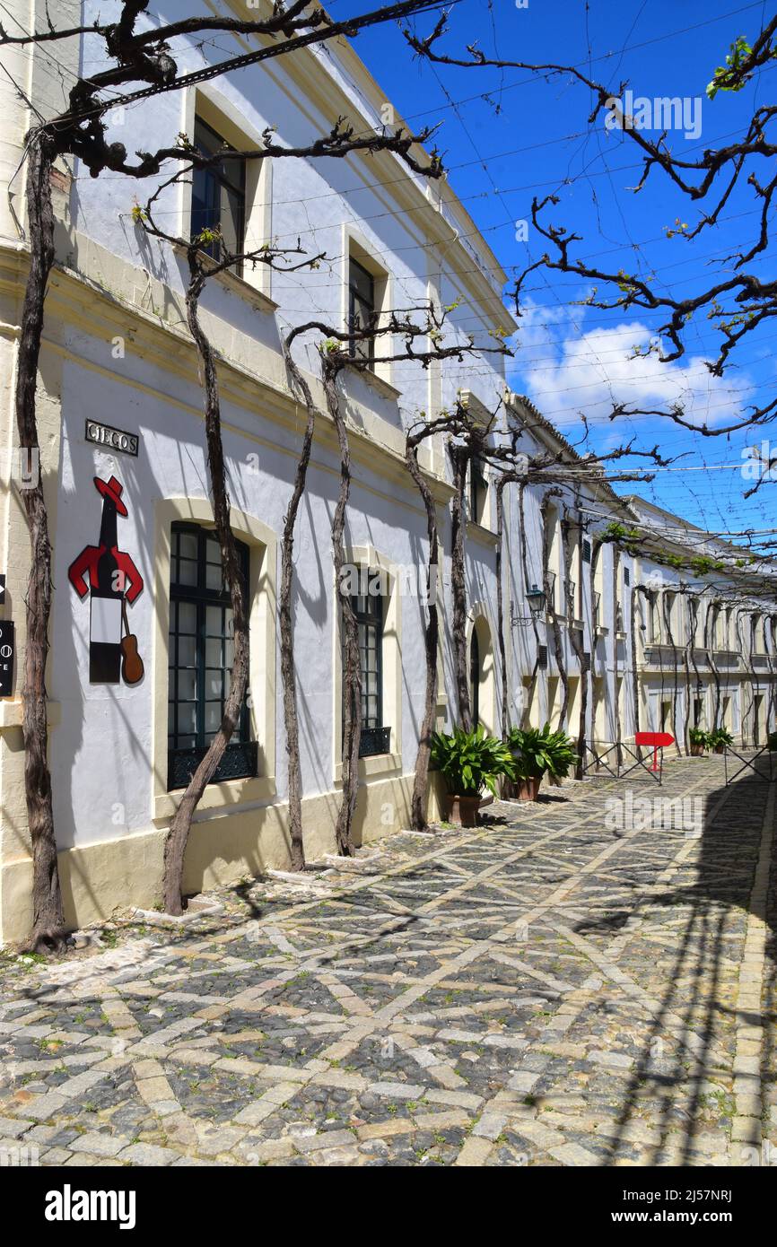 Jerez de la Frontera, Andalusia, Spagna Foto Stock