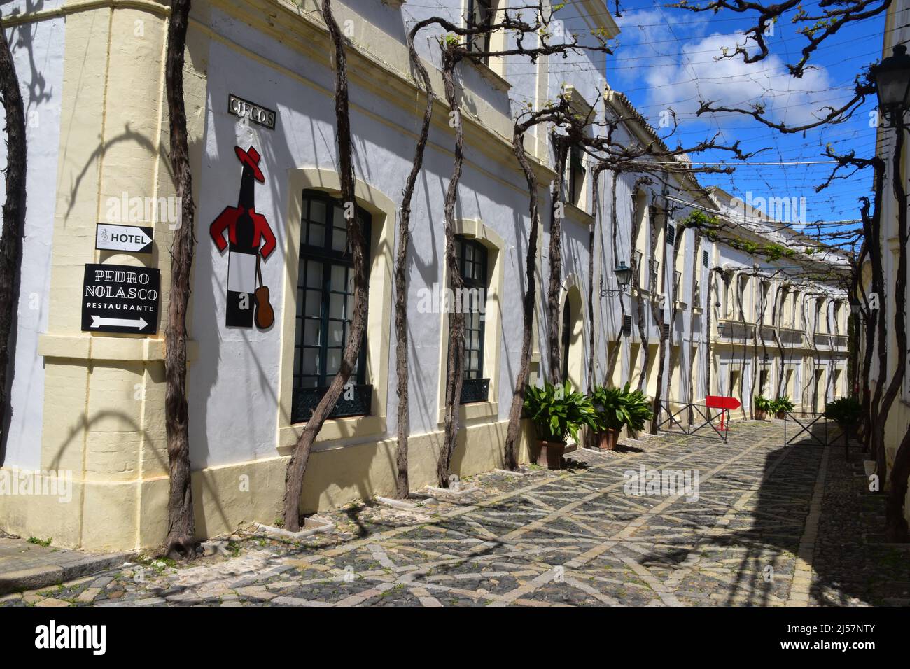 Jerez de la Frontera, Andalusia, Spagna Foto Stock