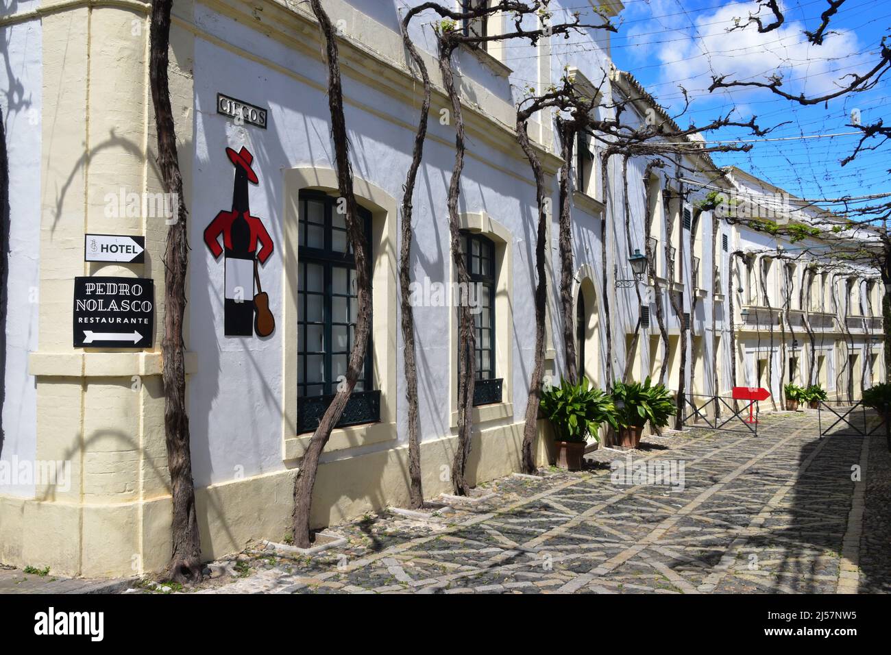 Jerez de la Frontera, Andalusia, Spagna Foto Stock