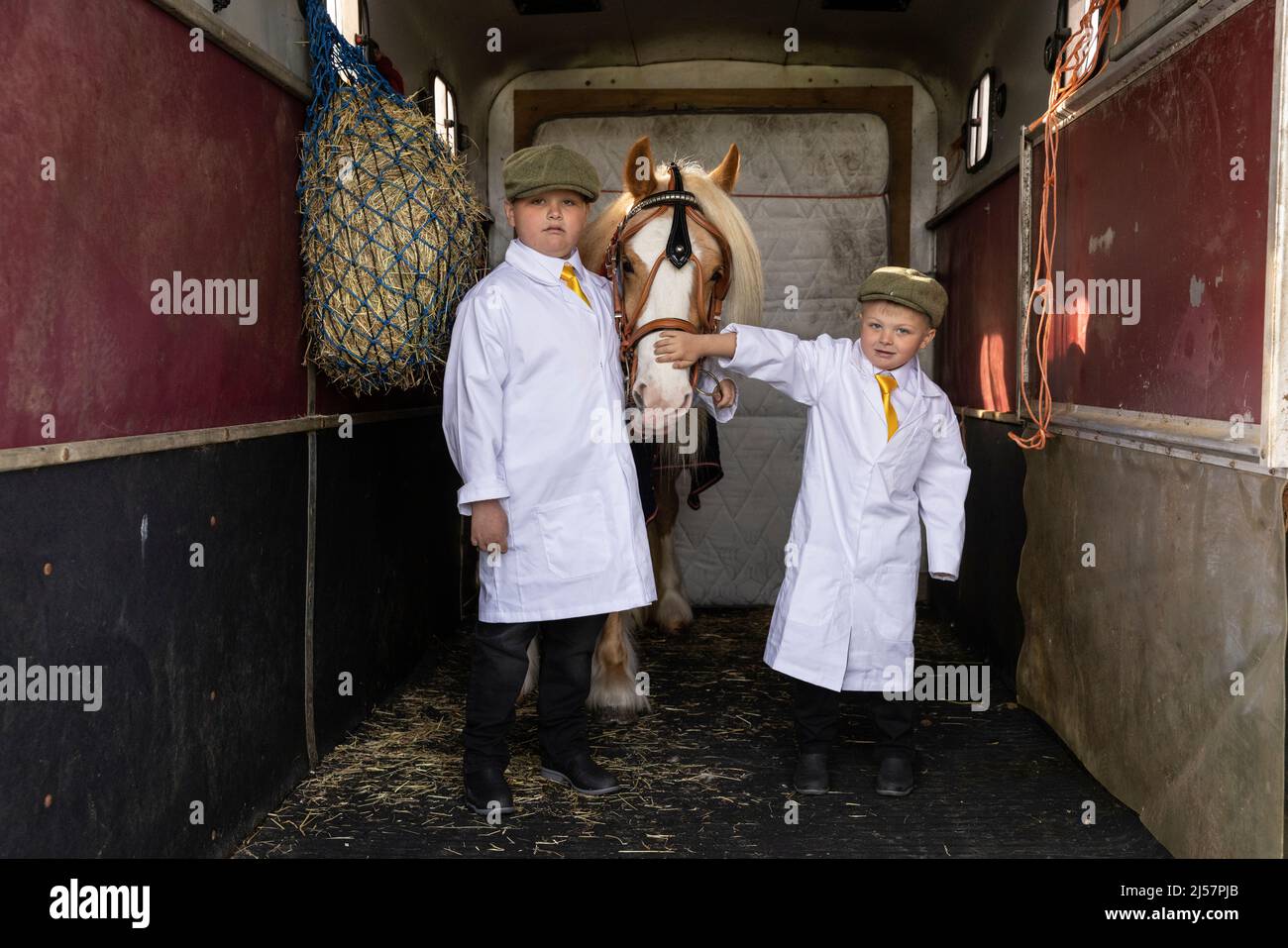 London Harness Horse Parade, South of England Center, Aringly West Sussex, Regno Unito Foto Stock