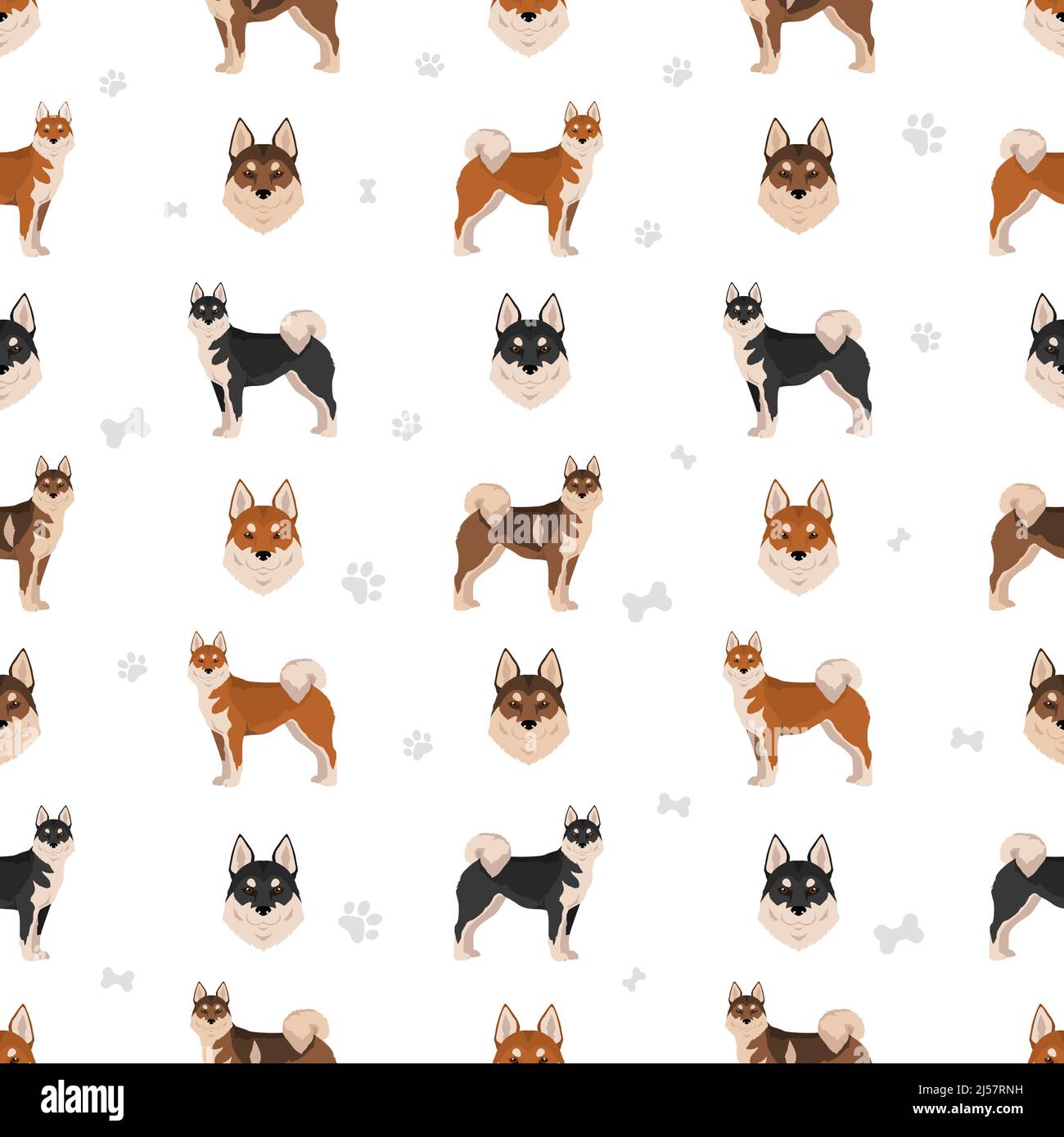 Shikoku cane cappotto colori, diverse pose modello senza cuciture. Illustrazione vettoriale Illustrazione Vettoriale