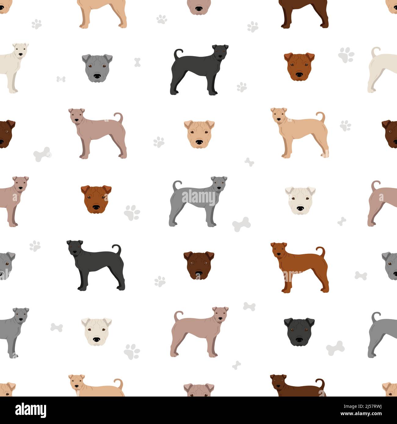 Bocca ossea Shar Pei senza cuciture. Pose diverse, colori del cappotto impostati. Illustrazione vettoriale Illustrazione Vettoriale