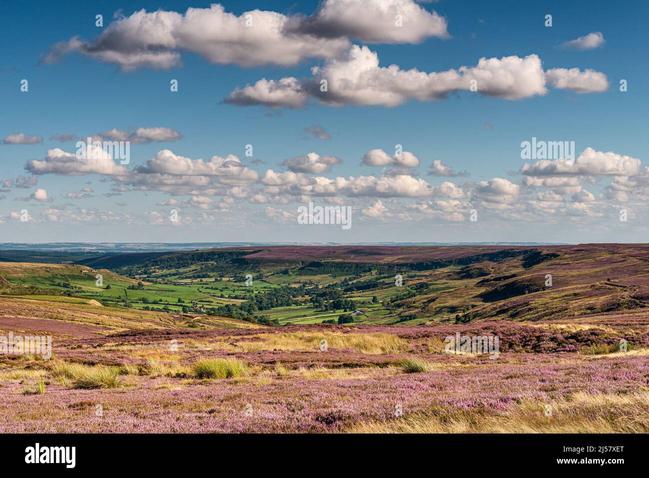 Una vista verso sud lungo Rosedale da Rosedale Head Foto Stock