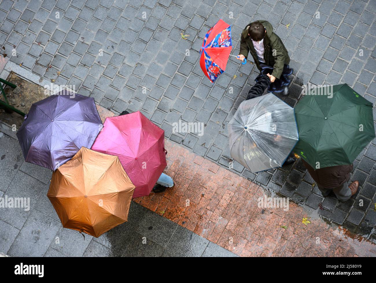 Gruppi di persone che parlano sotto gli ombrelloni in una giornata di pioggia a Madrid, Spagna. Foto Stock