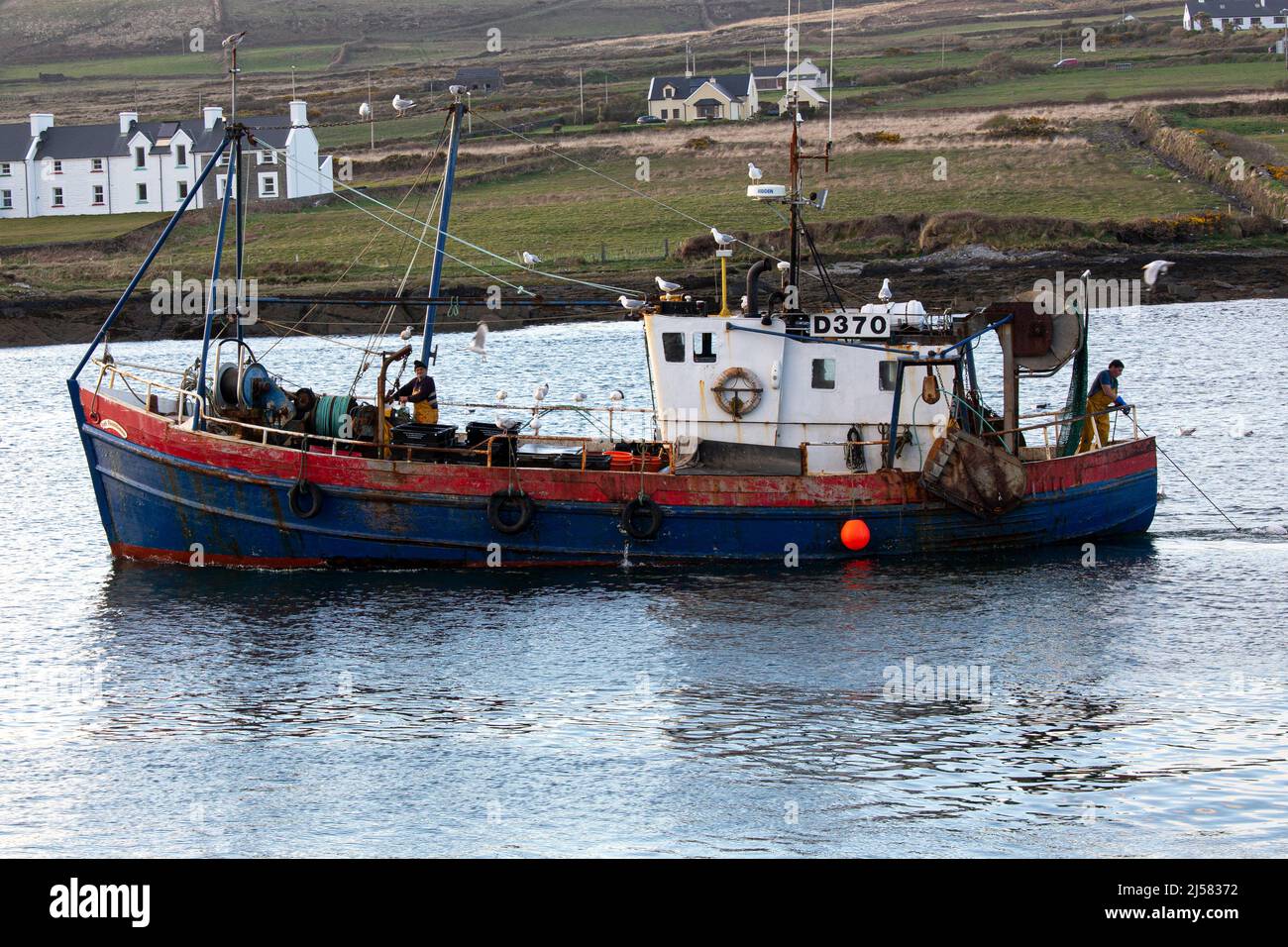 Peschereccio da traino irlandese, Portmagee, County Kerry, Irlanda Foto Stock