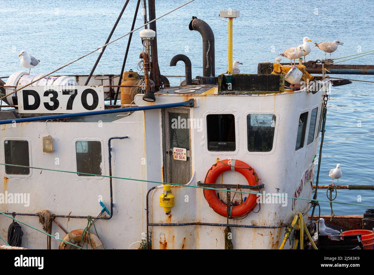 Peschereccio da traino irlandese, Portmagee, County Kerry, Irlanda Foto Stock