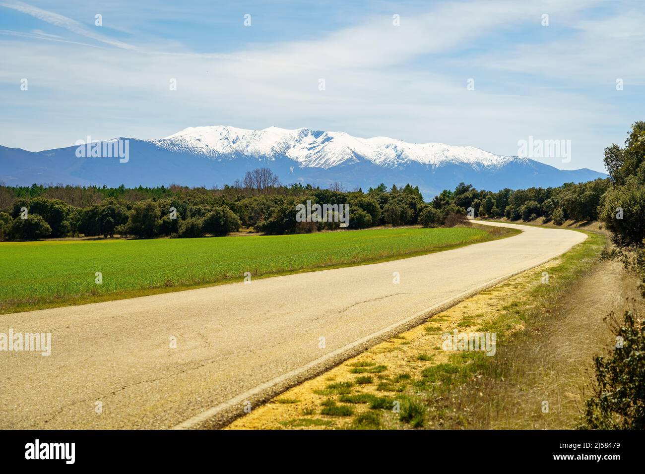 Strada secondaria che conduce alle montagne innevate in un verde paesaggio estivo. La Pinilla, Spagna. Foto Stock