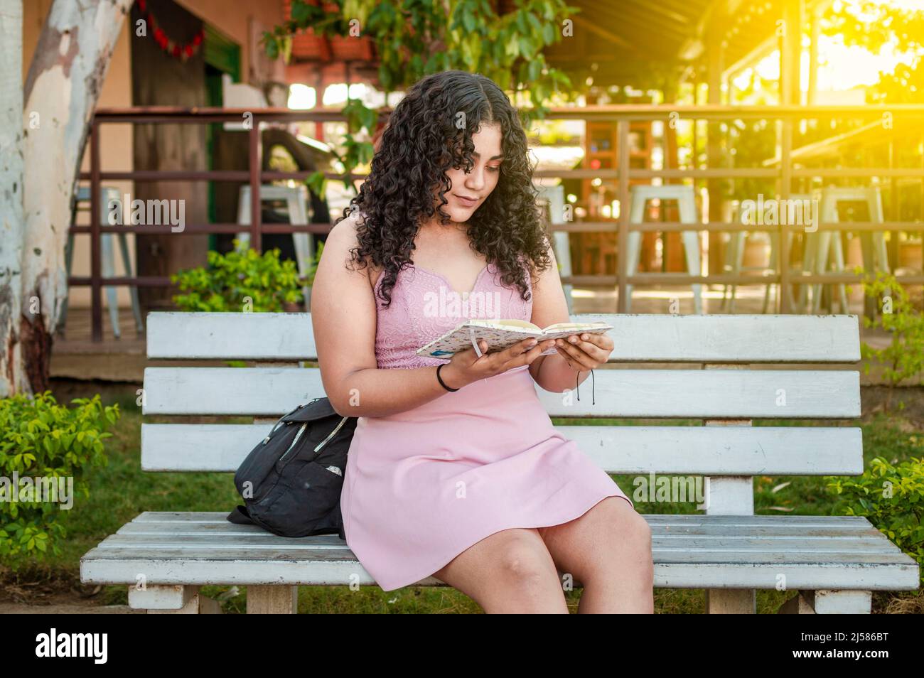 Una ragazza carina seduta su una panca che legge un libro, ragazza latina abbastanza giovane che legge un libro su una panca Foto Stock