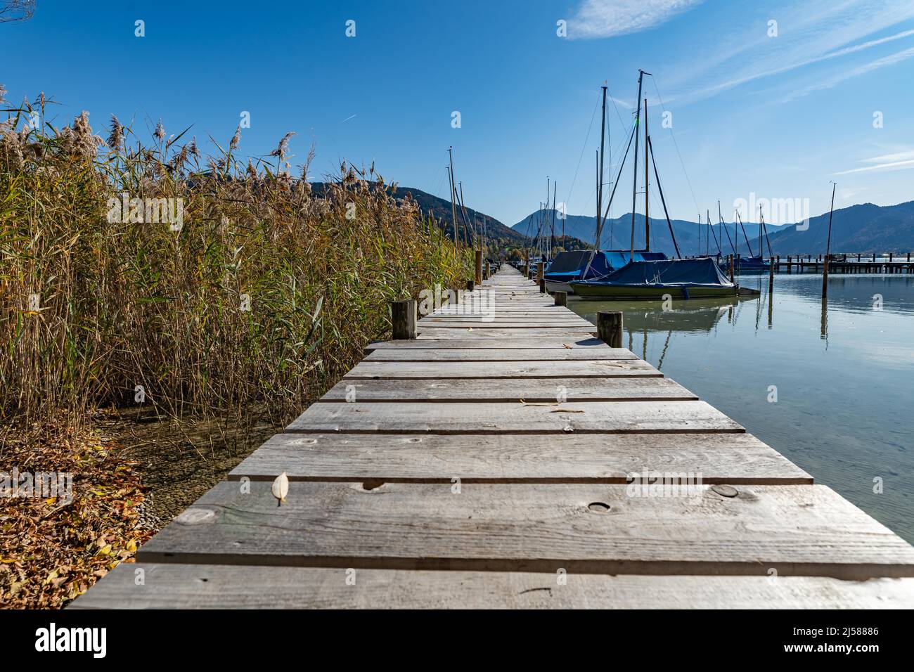 Jetty da una posizione bassa con una vista delle canne e barche in una bella giornata estiva, Tegernsee, Germania Foto Stock