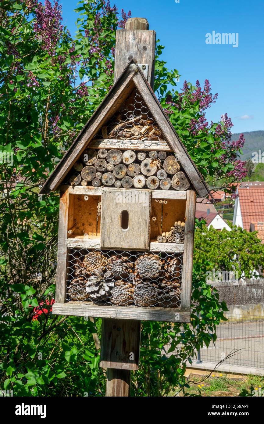 Vicino ad un hotel in legno di insetti in un villaggio in primavera Foto Stock