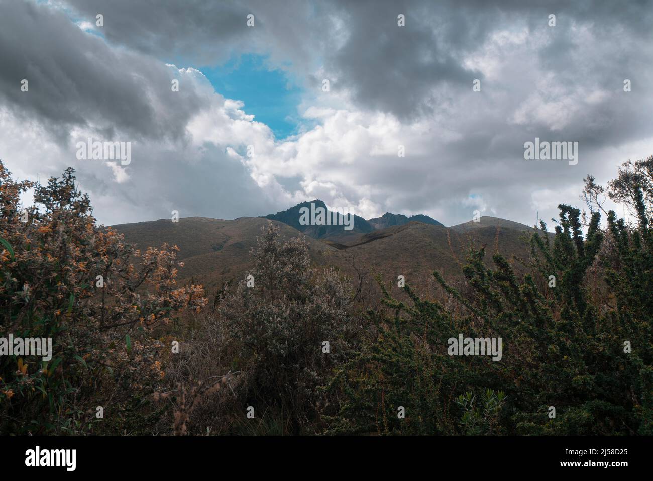 Paesaggio del Parco Nazionale Cotopaxi con alberi verdi e il vulcano Ruminahui dietro le montagne durante una mattinata nuvolosa - Ecuador Foto Stock