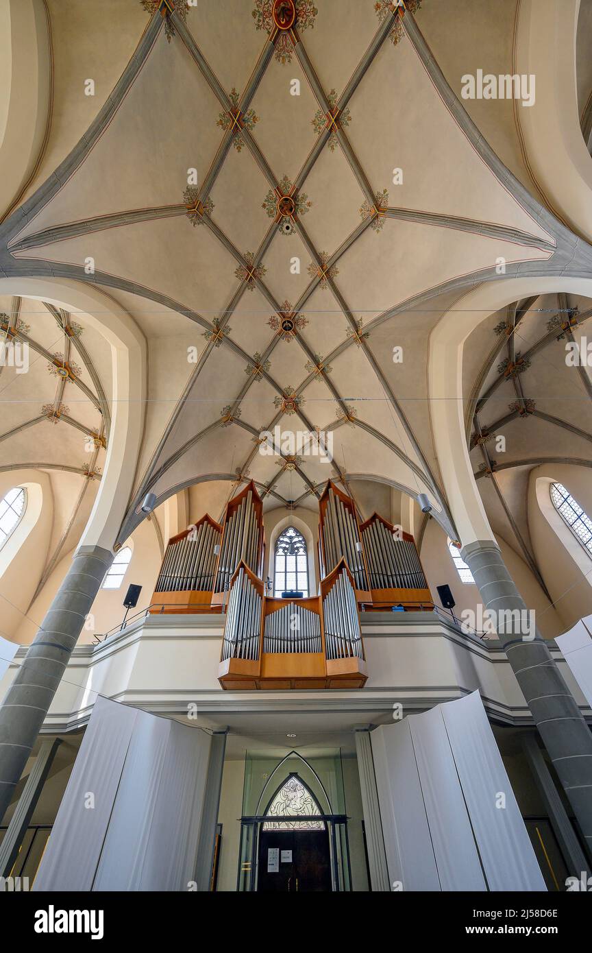 Orgelempore und Kreuzgewoelbe, Katolische Stadtpfarrkirche St. Martin, Leutkirch, Allgaeu, Baden-Wuerttemberg, Deutschland Foto Stock