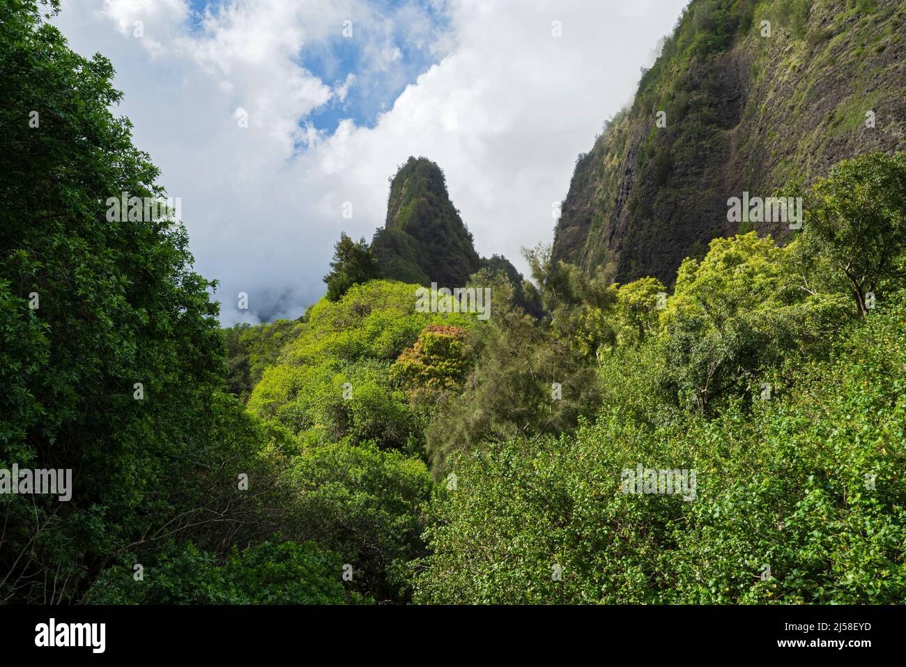 iao needle state monument in montagna e lussureggiante iao valley state park in west maui hawaii Foto Stock