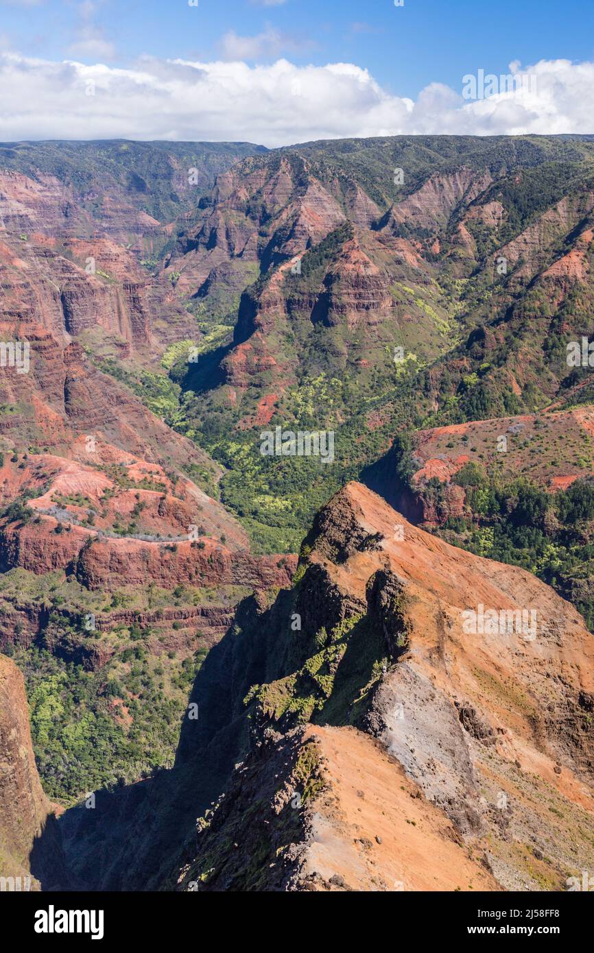 Waimea Canyon, noto anche come il Grand Canyon del Pacifico, è un ripido canyon di basalto vulcanico, formato dall'erosione e dal crollo di un c vulcanico Foto Stock
