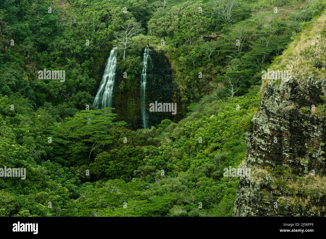 Cascate di Opaekaa nel Wailua River state Park sull'isola di Kauai in Hawaii, Stati Uniti. Le cascate scendono per 151 piedi verticali su un vulcano Foto Stock