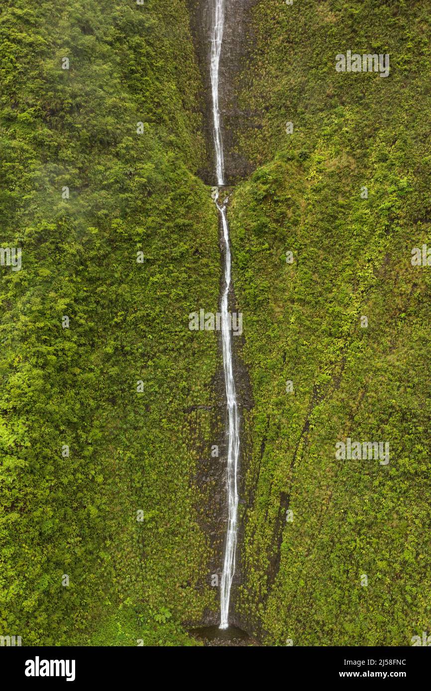 Le cascate precipitarono a centinaia di metri lungo la faccia di Wai'ale'ale a Kauai, Hawaii. Uno dei punti più piovosi della Terra. Foto Stock