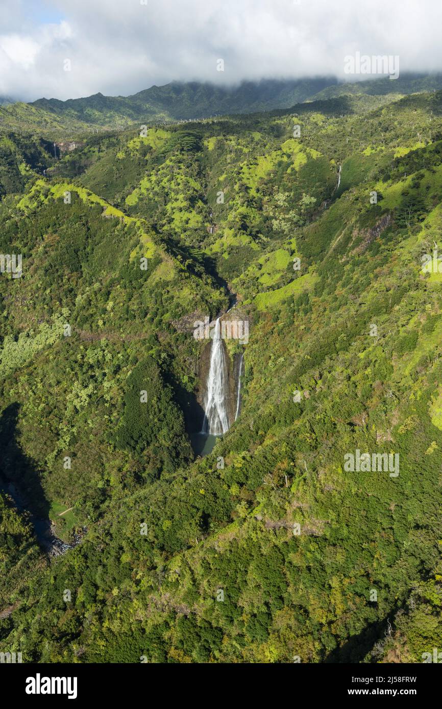 Manawaiopuna Falls, conosciuta anche come Jurassic Falls, si trova nella Hanapepe River Valley sul lato sud dell'isola di Kauai, Hawaii, Stati Uniti. IT Foto Stock