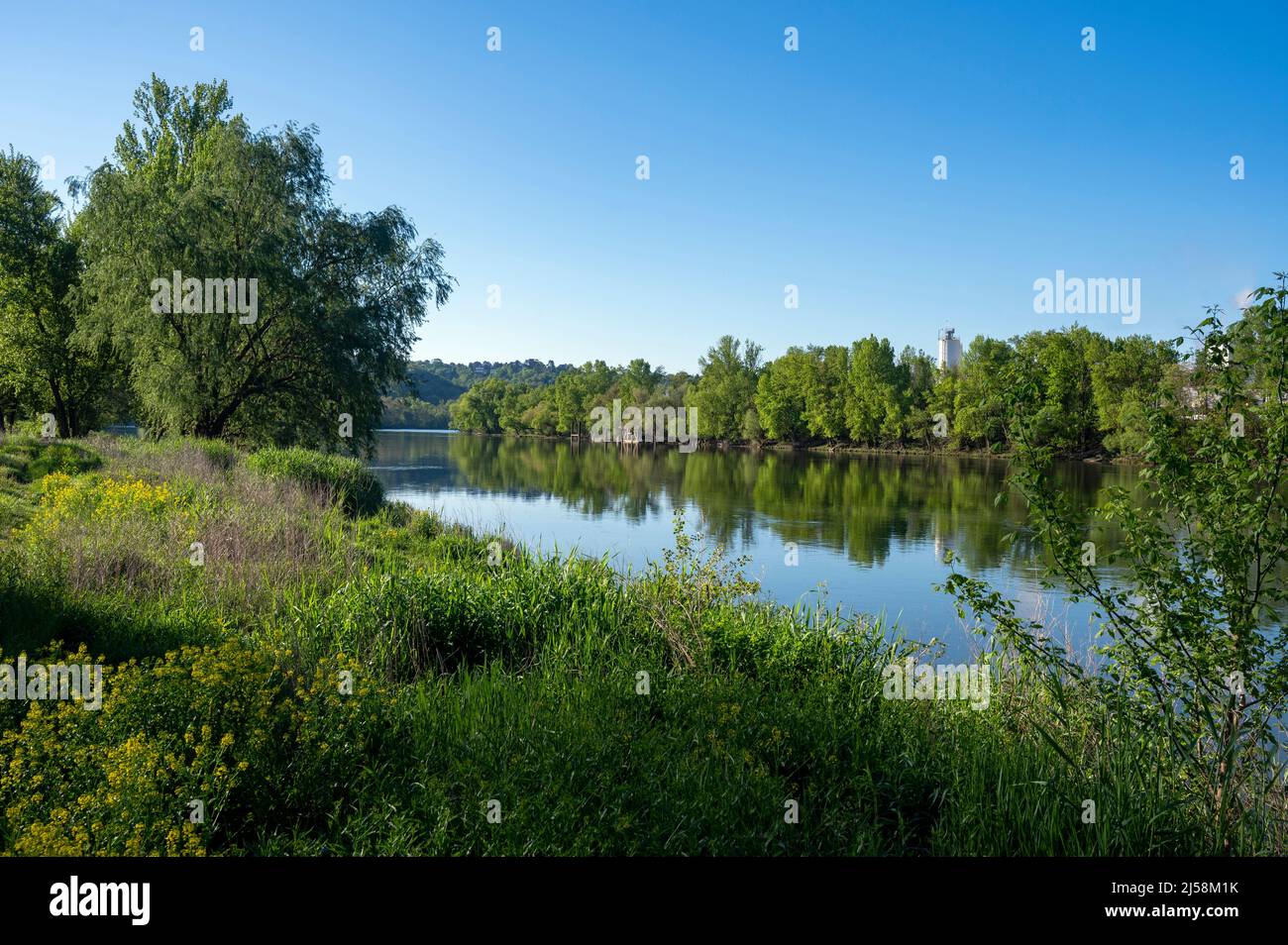 Paesaggio primaverile sulle rive del fiume Saone in primavera nel dipartimento del Rodano in Francia Foto Stock